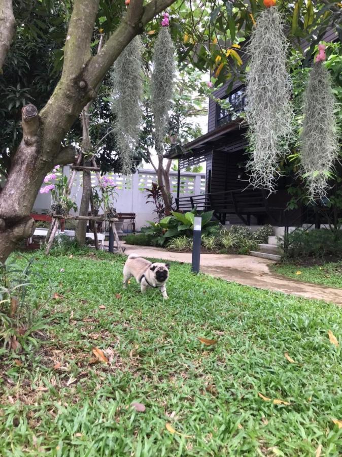 Baansuanklaiklungbangkrachao บ้านสวนใกล้กรุงบางกะเจ้า Phra Pradaeng Exteriör bild